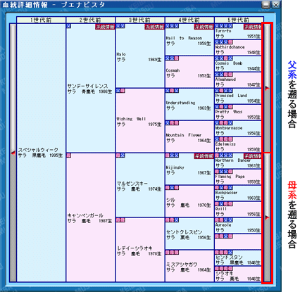 世代切替説明１